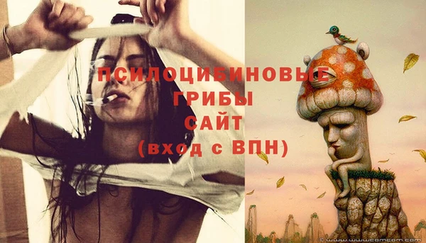 молекула духа Остров