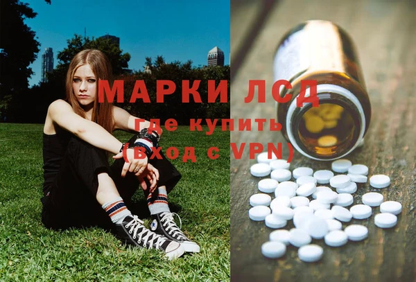 таблы Осинники