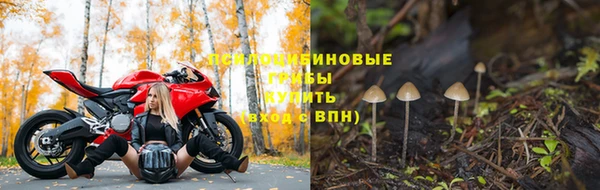 таблы Осинники