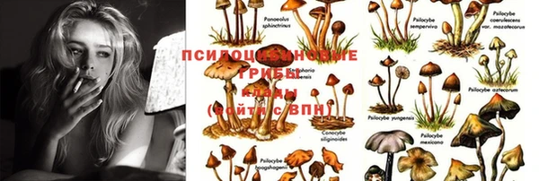 молекула духа Остров