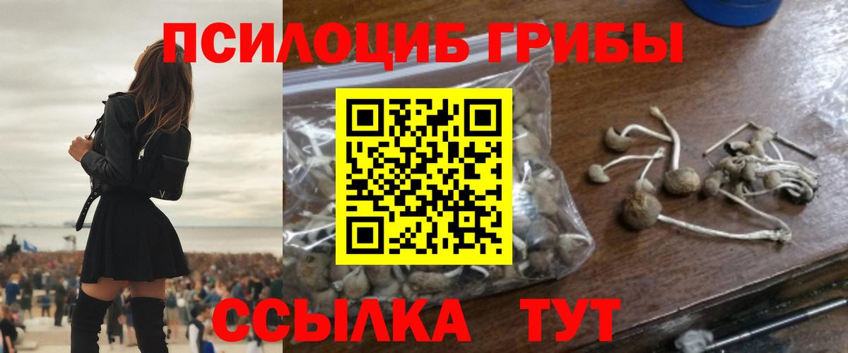 Белебей  Псилоцибиновые грибы GOLDEN TEACHER  Вход с VPN  Псилоцибиновые грибы Psilocybine cubensis 